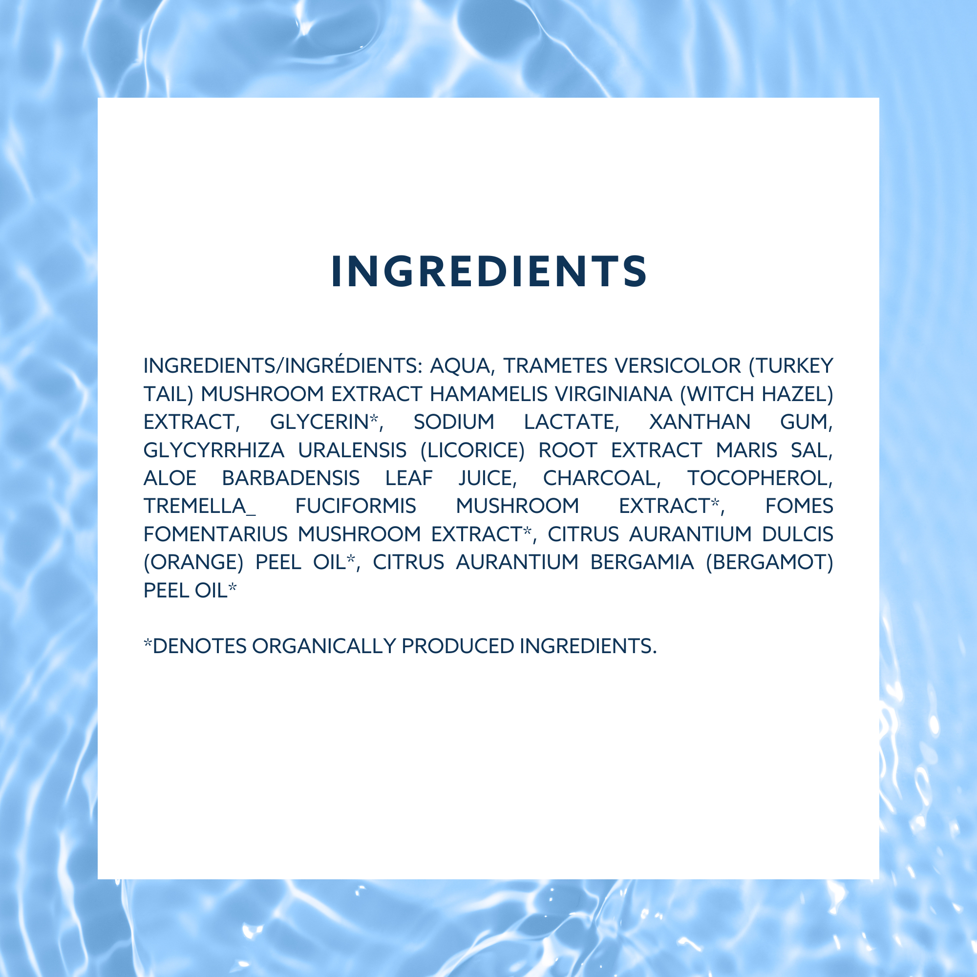 ACTIVE Moisturizer - Hydrating Daily Moisturizer